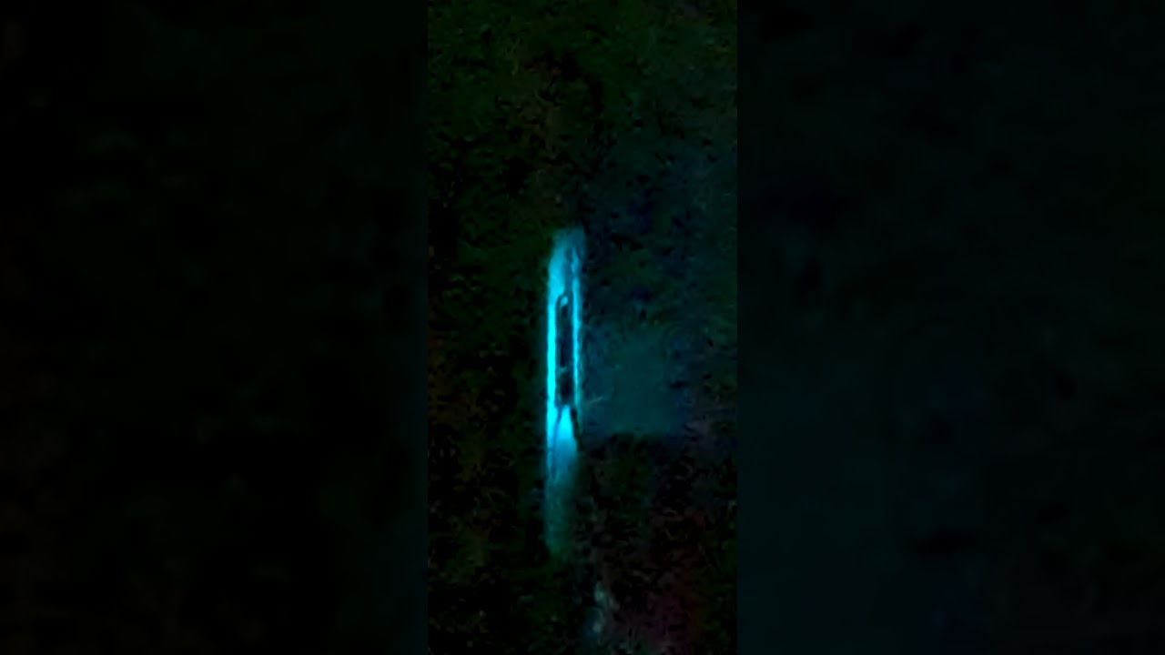 BRIXTER vs. ECHSE @TEKK TERROR MUSIKBRAUEREI RATHENOW  20.12.2019(2)