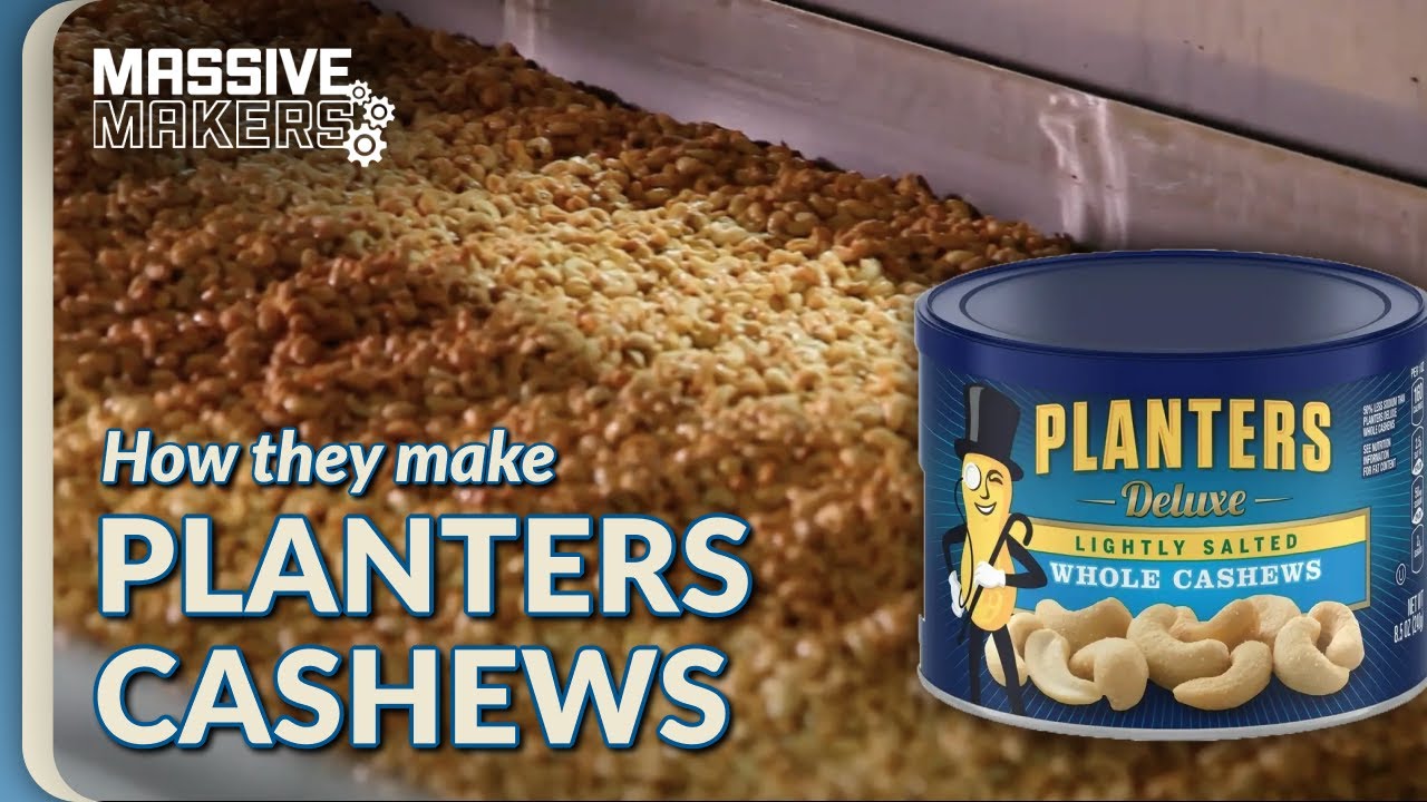 The Cashew Production Line! | Food Factory