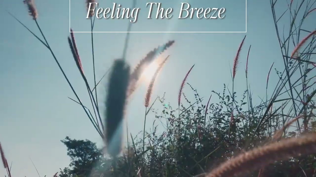 Feeling The Breeze