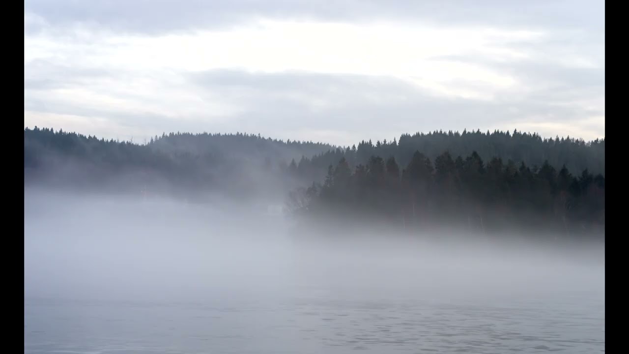 Tani Huynh - Season without answers