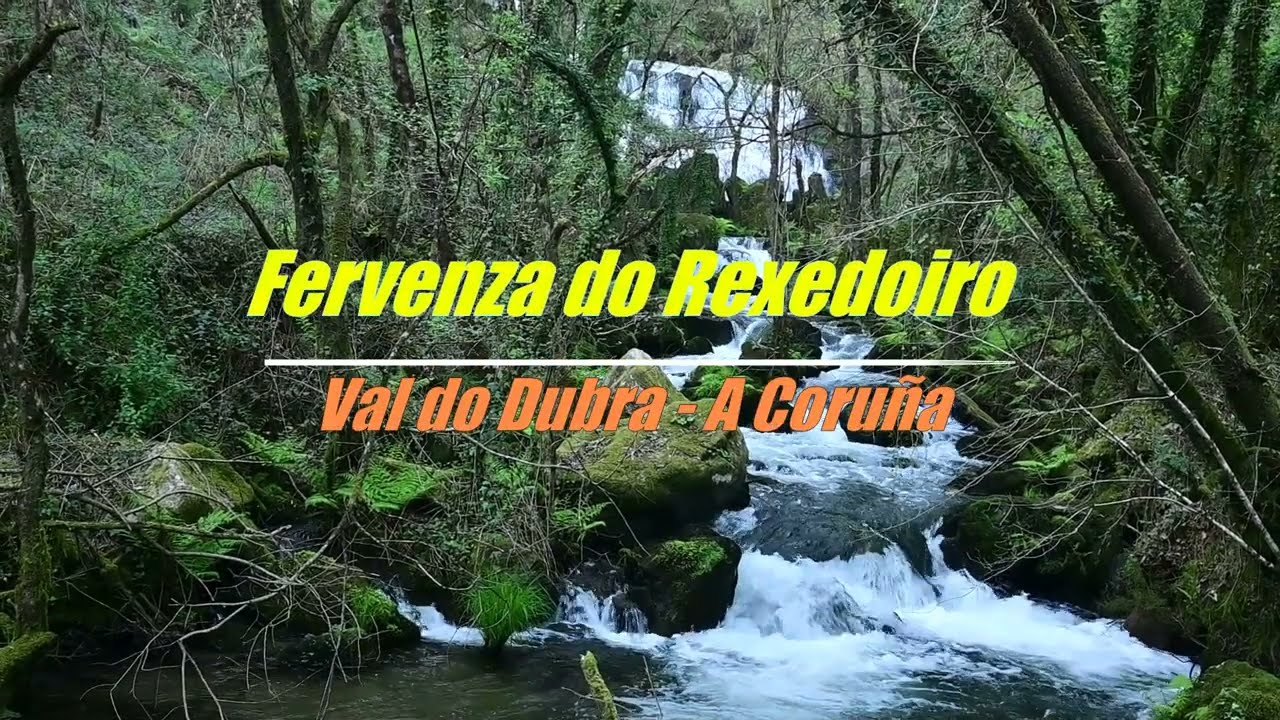 FERVENZA DO REXEDOIRO 2024