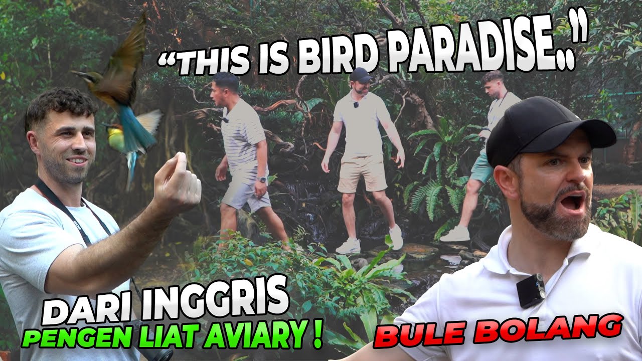 KAGUM! BULE BOLANG PERTAMA KALI LIAT AVIARY PENUH BURUNG SEBERAGAM INI!