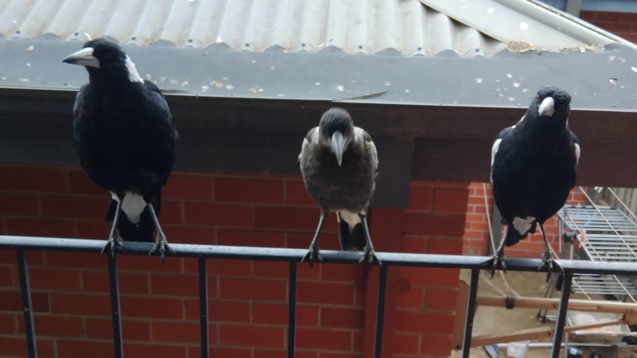 They were doing something different 