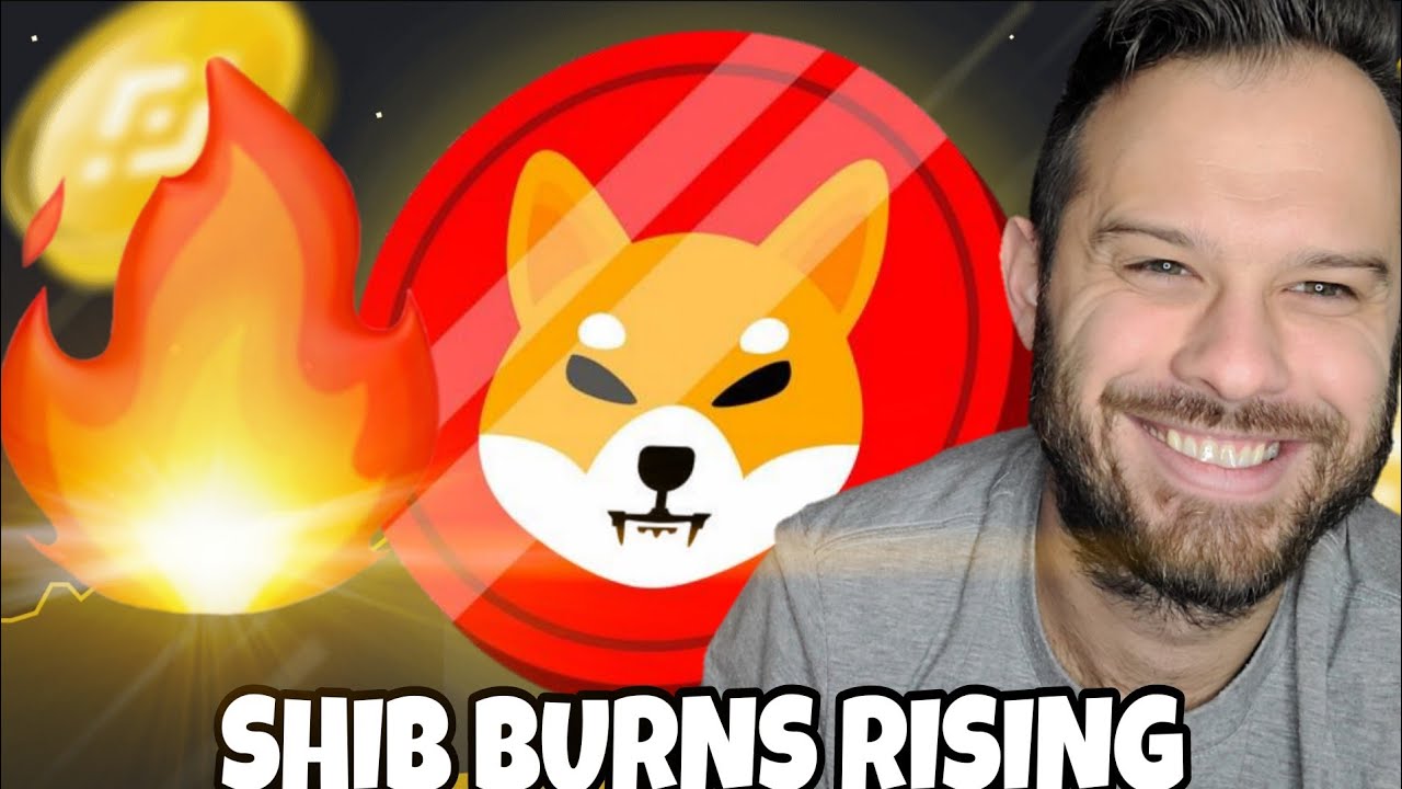 Shiba Inu Coin | Объем сжигания растет! Пойдет ли цена SHIB следом?