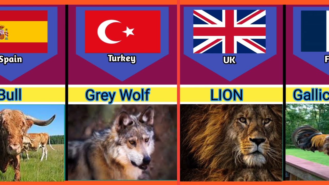 National Animal of the World | National Animals of Different Countries 🌍