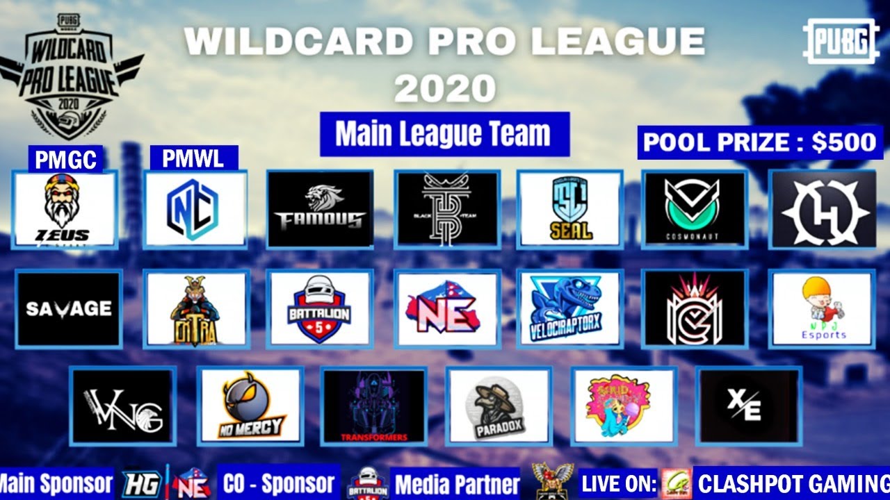 PUBG Mobile Wildcard PRO League 2020 Day 1 | ClashPot