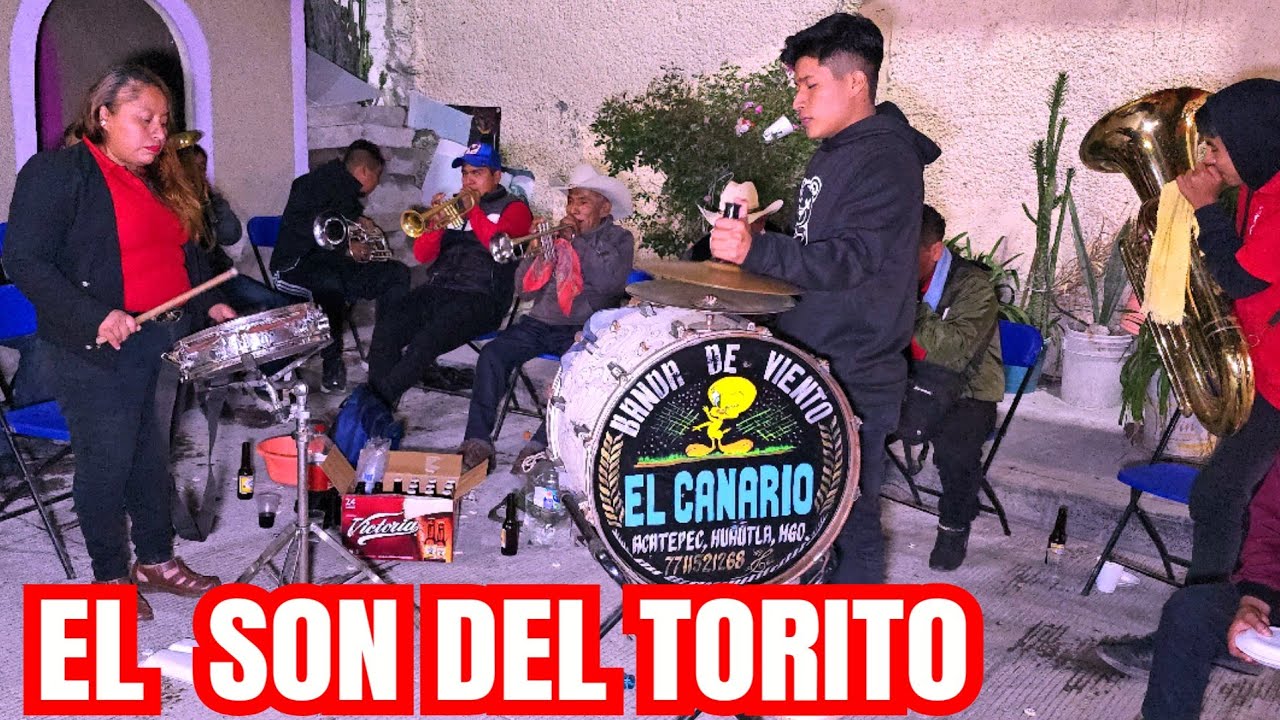 El son del torito con banda de viento el canario