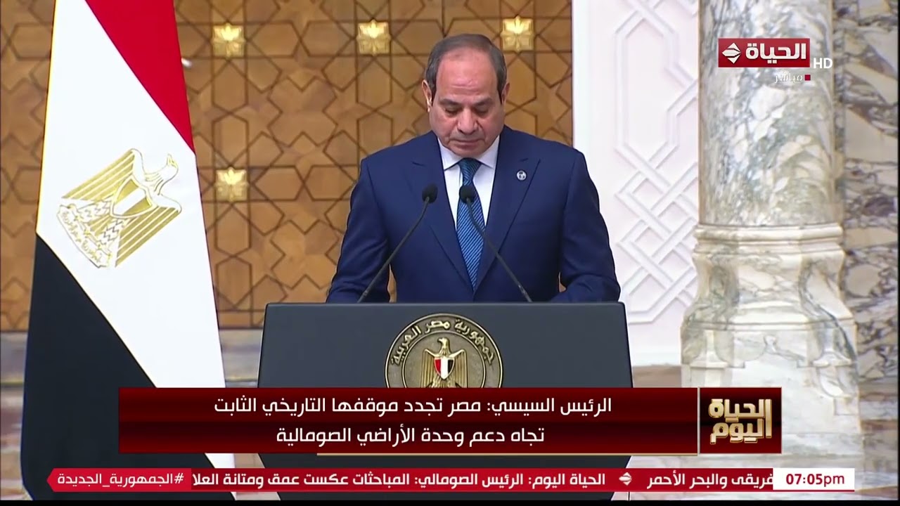 جزء من كلمة الرئيس السيسي خلال المؤتمر الصحفي المشترك مع نظيره الصومالي بقصر الاتحادية