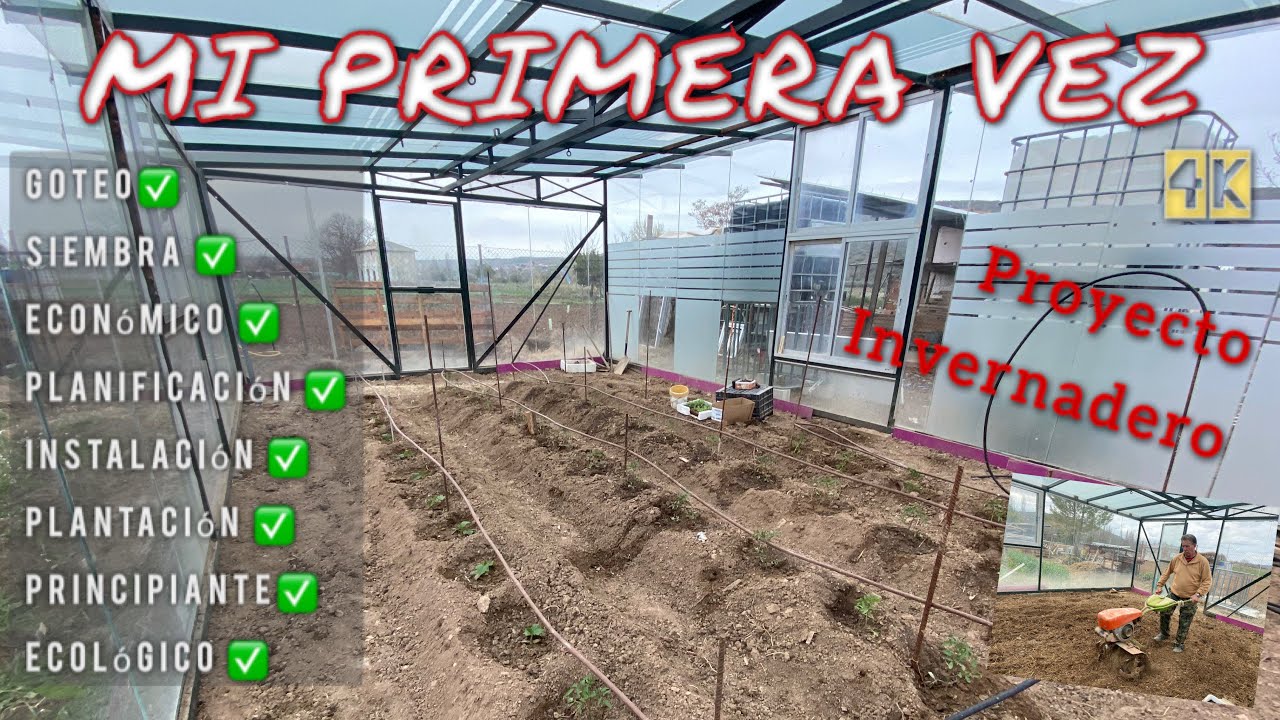 PONIENDO GOTEO CON BIDONES EN EL INVERNADERO POR PRIMERA VEZ siembra y planificación DE RIEGO