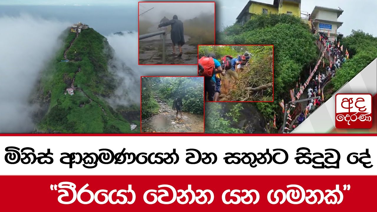 මිනිස් ආක්‍රමණයෙන් වන සතුන්ට සිදුවූ දේ  