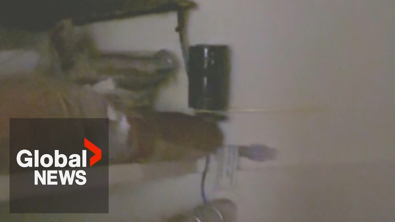 BC woman says she found hidden cameras in her California Airbnb: "I felt sick"