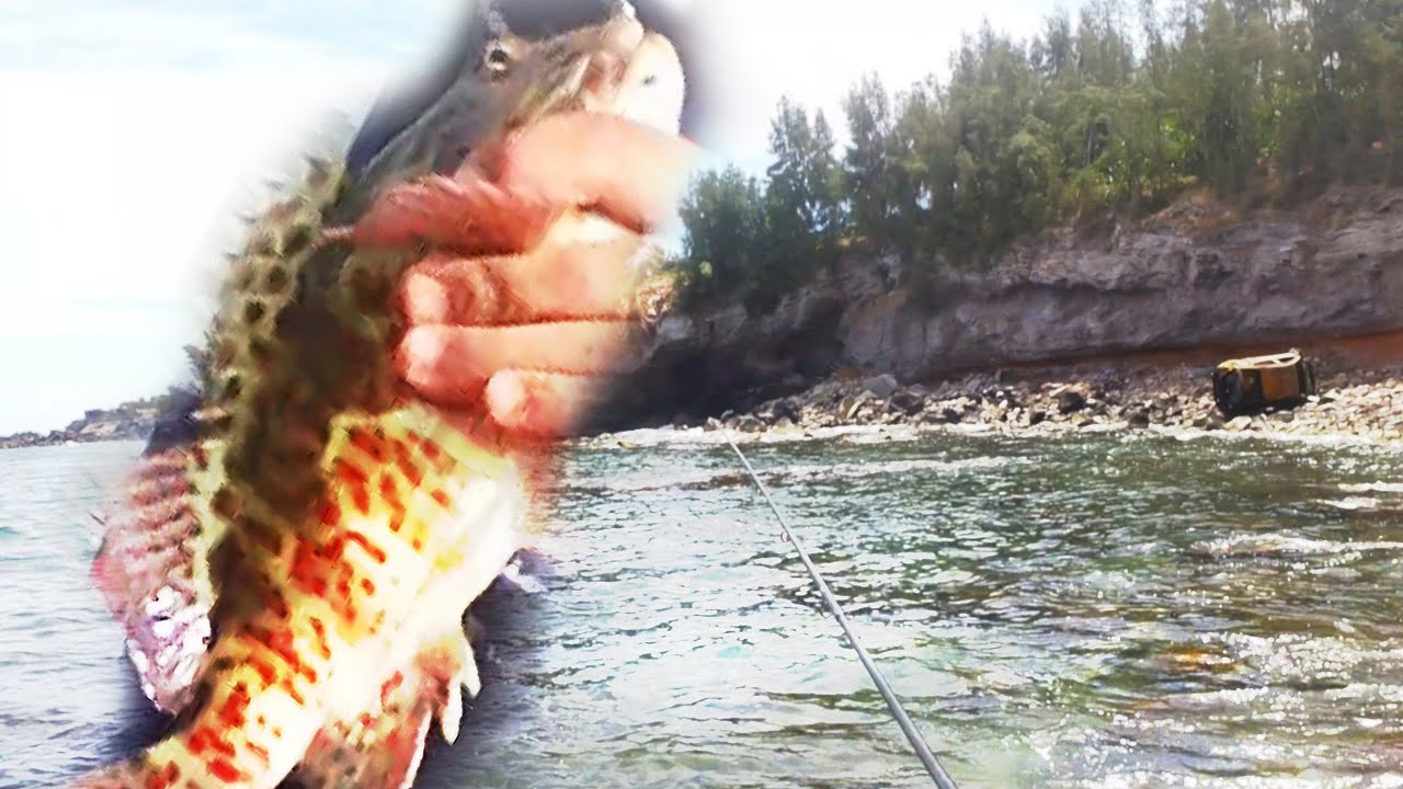 A Bunch Of Old Fishing Videos