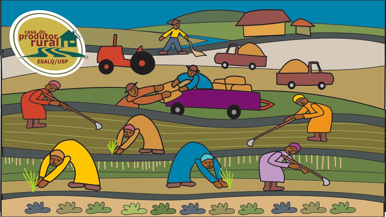 A Extens&atilde;o Rural e o Desenvolvimento da Agricultura Nacional