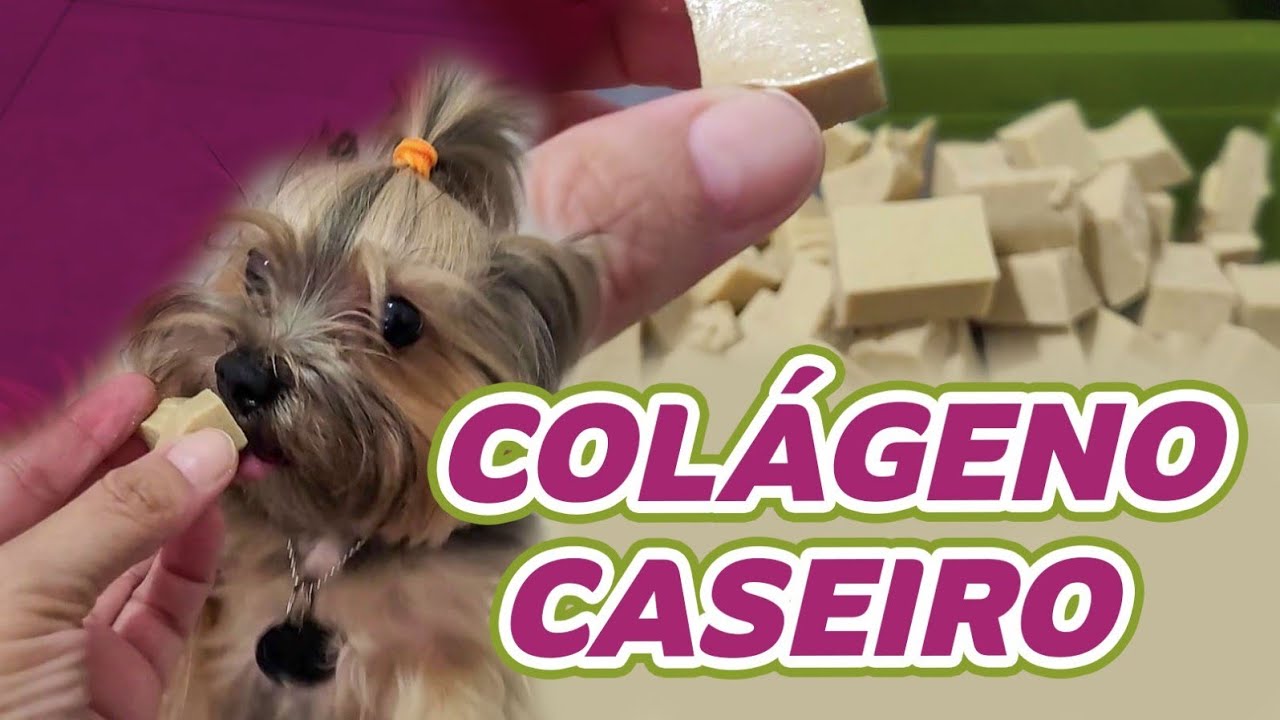 Fazendo colágeno caseiro para as dogs e para mim tbm! Suplemento precioso!