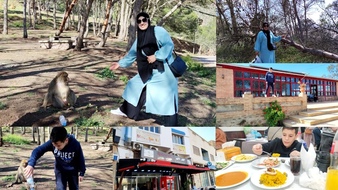 استكشاف غابة🌴🌲 كوروكو 🐵جولة في قلب الريف المغربي🇲🇦Tourism in Morocco
