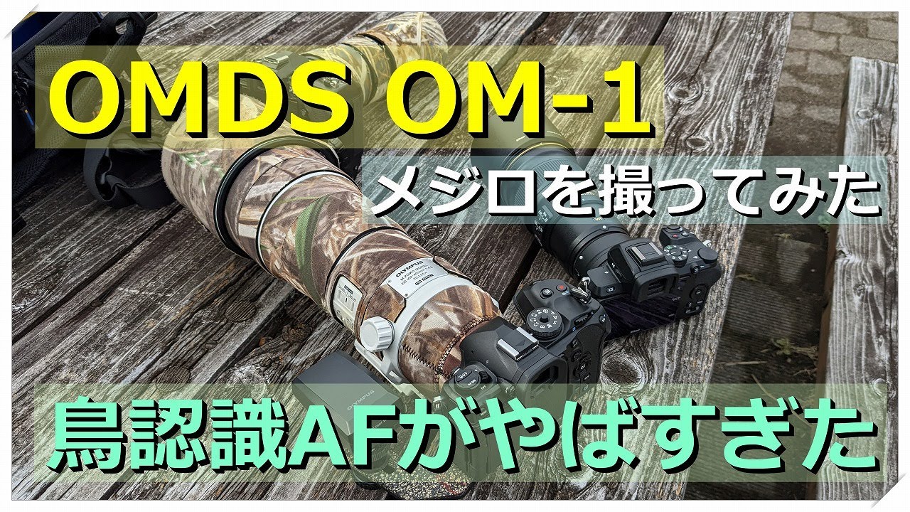 OMDS OM-1 メジロ撮ってみた感想 衝撃のAF性能に鳥肌！