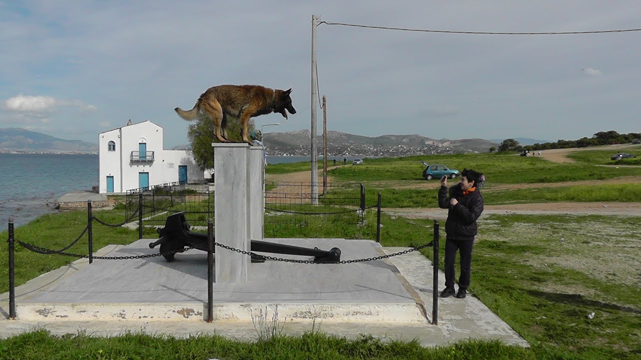 ΑΠΙΣΤΕΥΤΟΣ ΣΚΥΛΟΣ!!! 2/3/2014