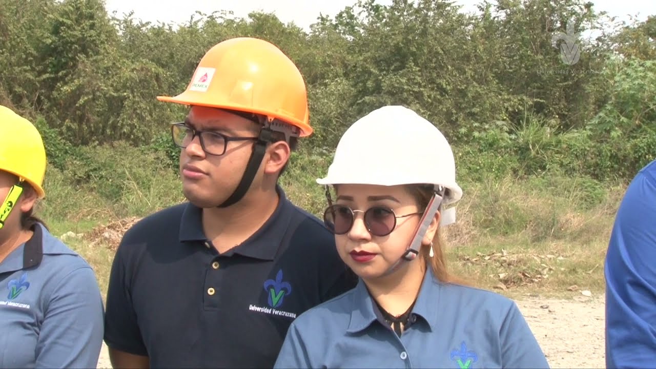 Ingeniería Petrolera