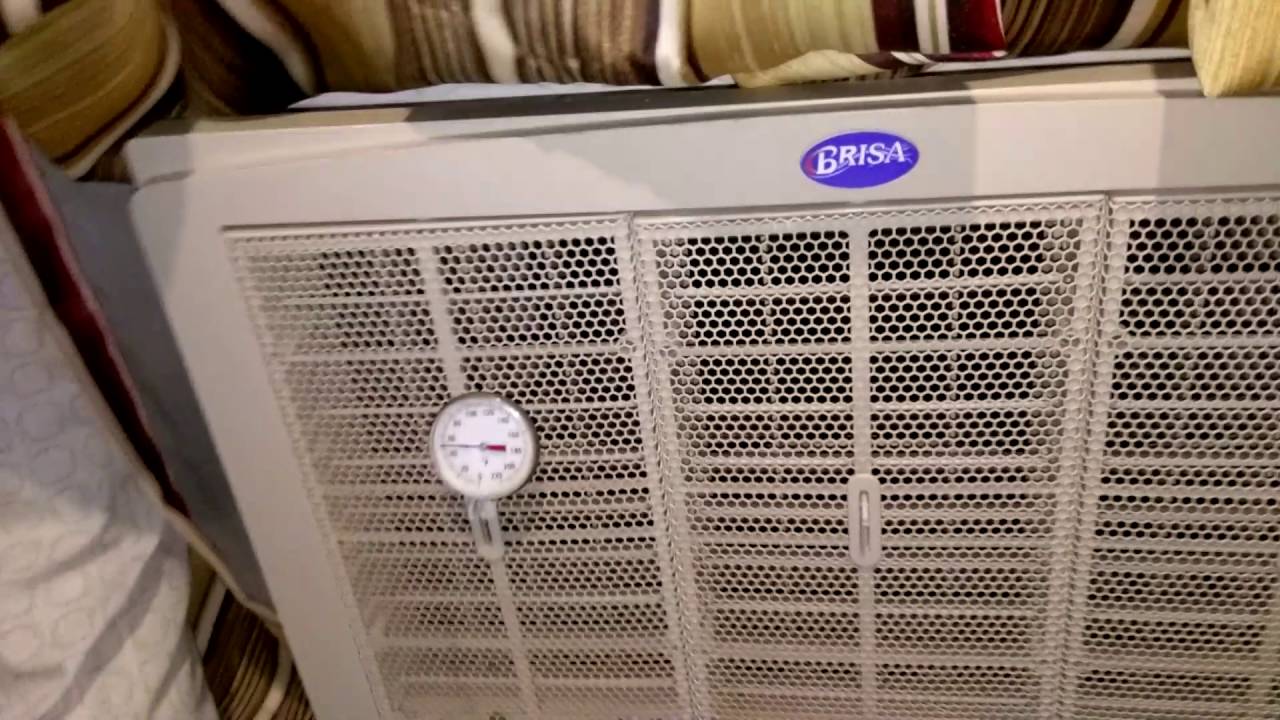 Brisa swamp cooler on aspen pads (the very best pads)