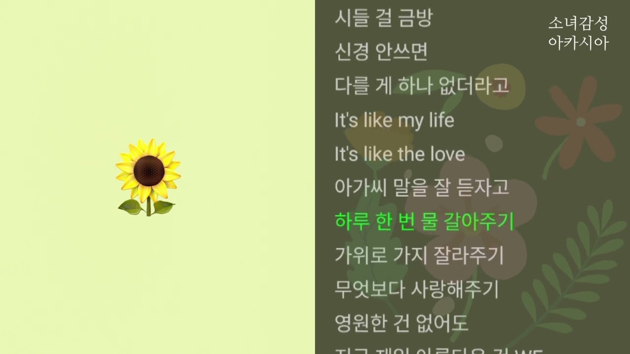 물 갈아주기 -  크루셜스타 (CRUCiAL STAR)
