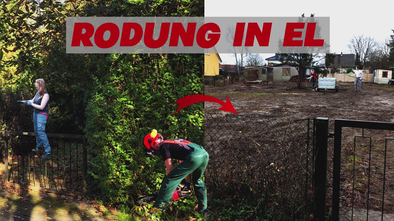 Rodung in Eigenleistung | Grundstücksvorbereitung