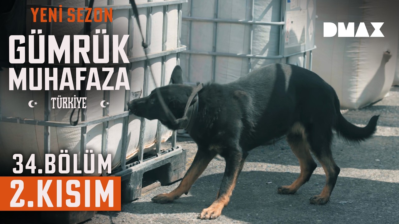 Narkotik Köpeği Görev Başında. Çuvallarda Ne Var? | Gümrük Muhafaza Türkiye 34. Bölüm 2. Kısım