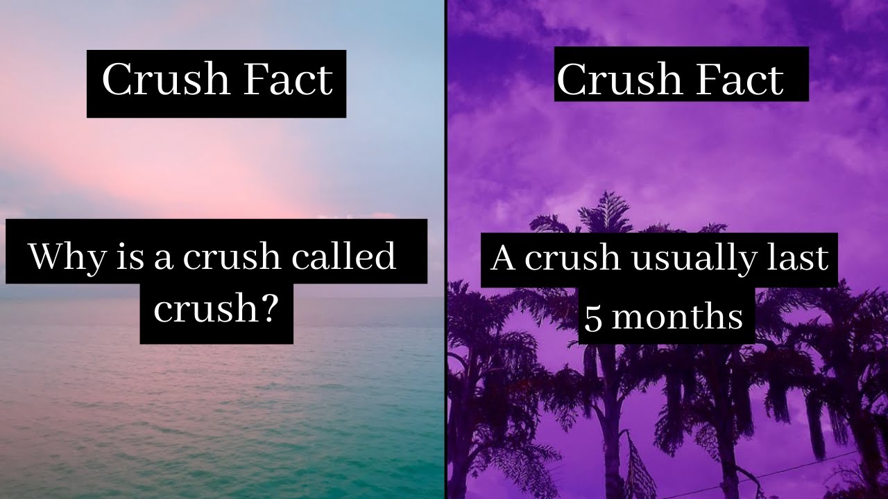 12+ Crush Psychology Facts  Certified TikTok Compilations