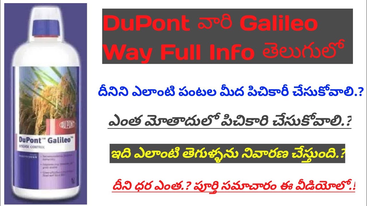 DuPont Galelio Way Fungicides Full Details In Telugu | varilo pamu poda, mani Pandu tegulu nivarana