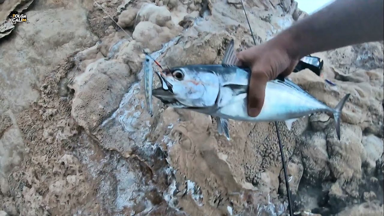 Falezlerden Nasıl İniyorum ve Balık Yakalama Sistemleri  / Shore Jigging Oyunları Bölüm 10