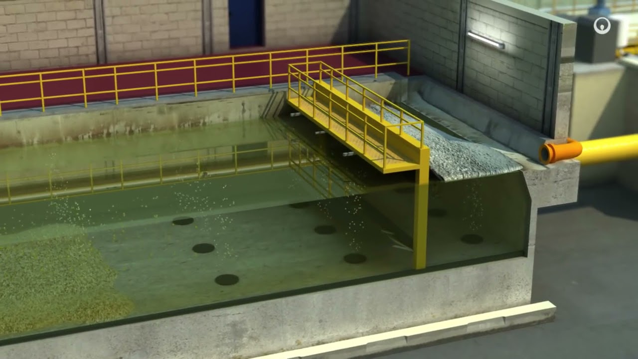 La collecte et le traitement des eaux usées | Veolia BeLux