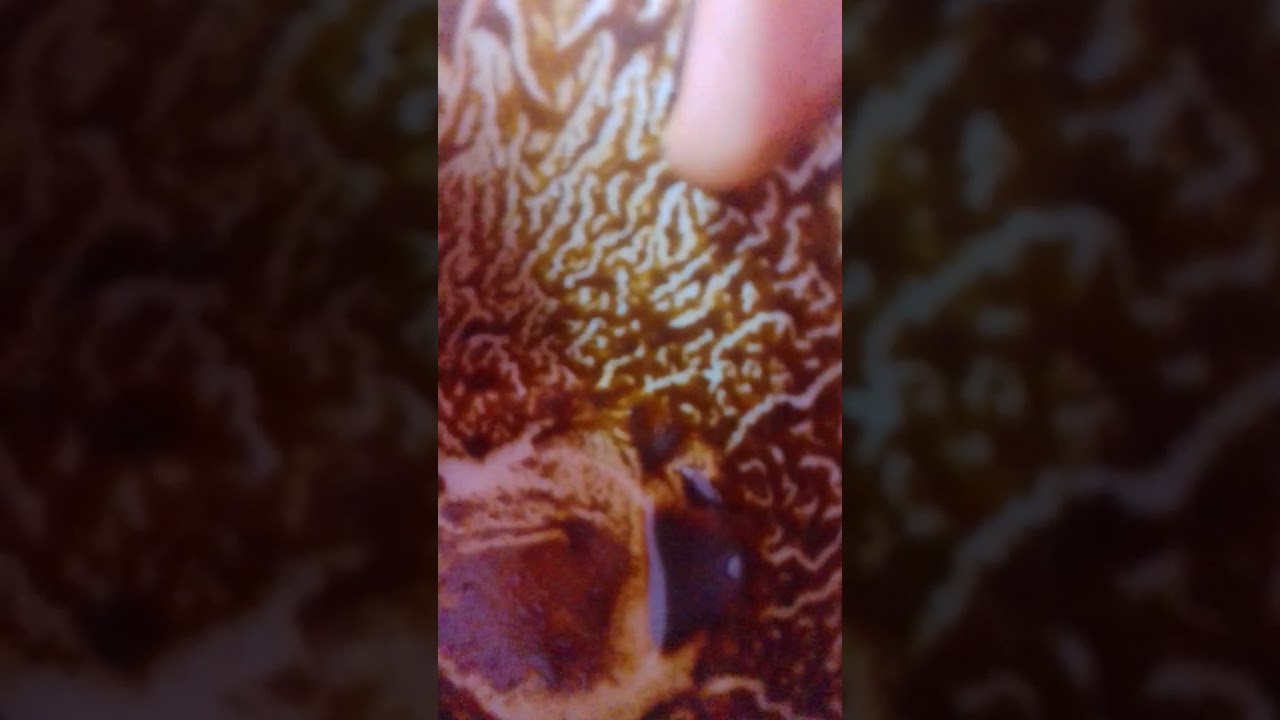 برج الثور كارما الظالم نهاية قريبه خلال اسبوع ، صدمه ، دائرة خطر ، كشف وفضيحه💯👍