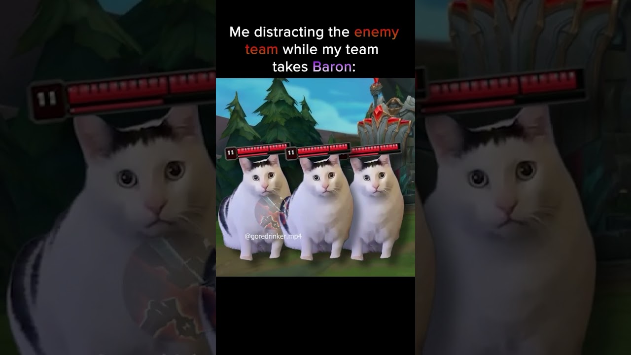 Me distracting the enemy team while my team takes baron 