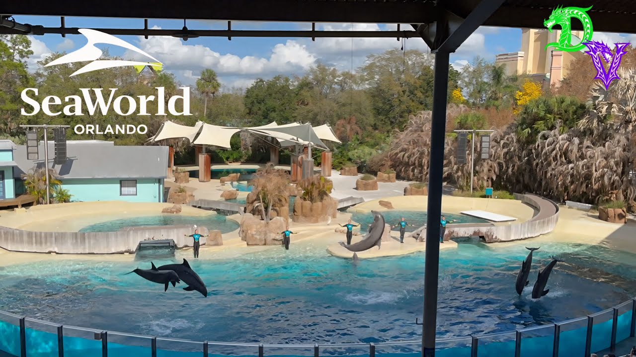 Dolphin Adventures Show SeaWorld Orlando 2026 Full Show 