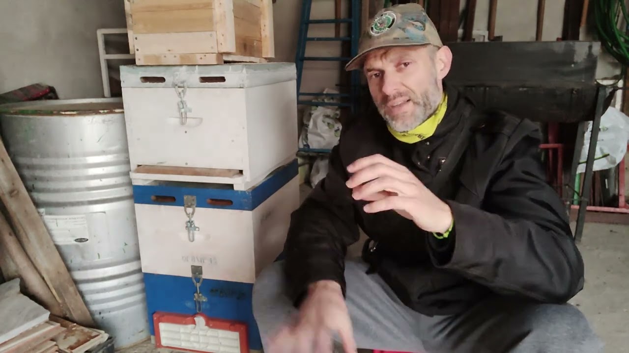 πλαστικές και ξύλινες κυψέλες πλεονεκτήματα και μειονεκτήματα