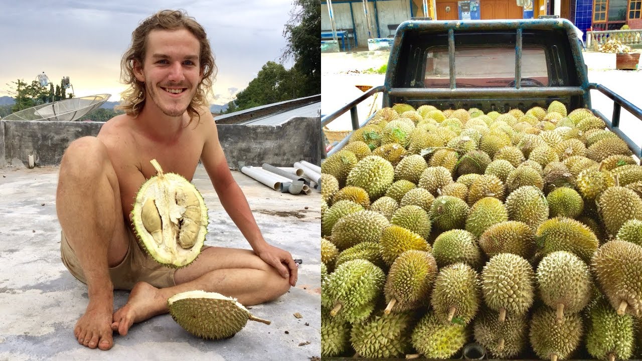 You'll never see more DURIAN in your life than here! MUST WATCH!!