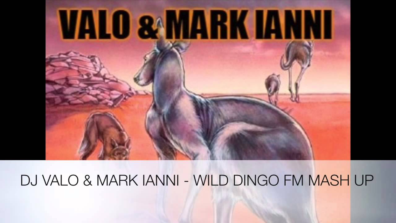 DJ Valo & Mark Ianni - Wild Dingo FM Mash Up