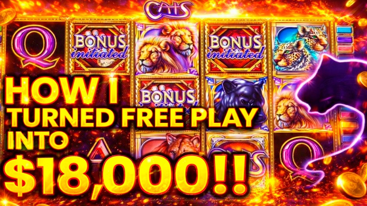 CATS IS INSANE!! MASSIVE BONUS WIN 🤑 HUGE JACKPOT