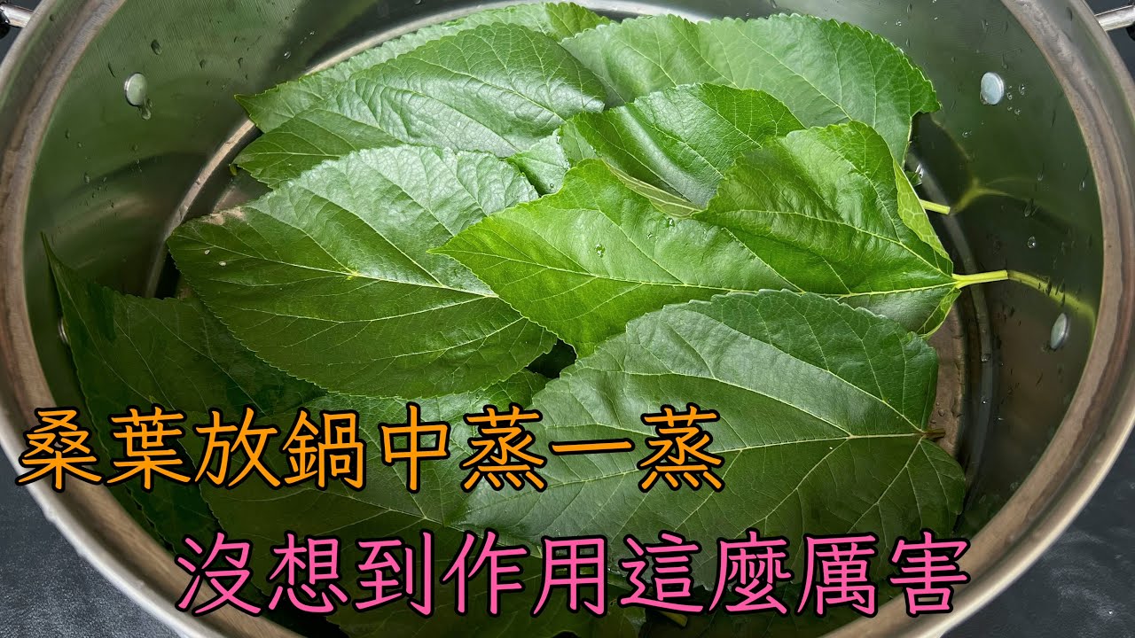 Положите листья шелковицы в кастрюлю и пропарьте их.Я не ожидал, что эффект будет таким сильным.Се