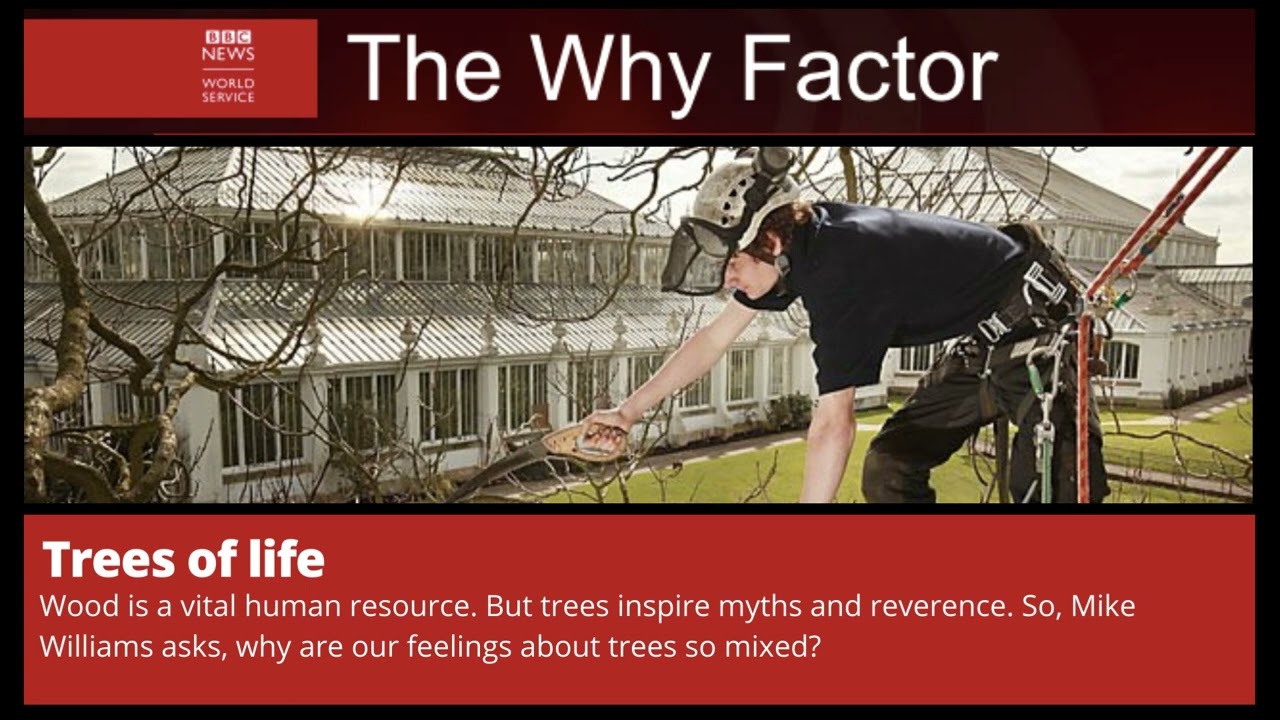 Trees of life. | The Why Factor.
