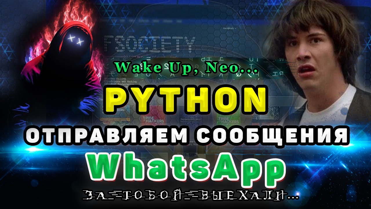 Практика Python | Отправляем сообщения в WhatsApp | Автоматизация WhatsApp