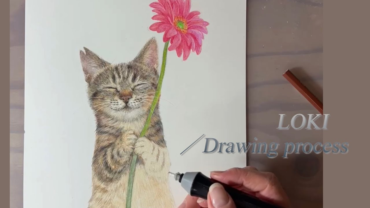 Loki | Colored Pencil Drawing Process