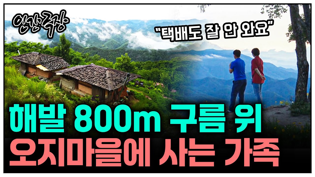 [인간극장] 해발 800m!? 구름보다 높은 화산 마을로 귀촌한 가족을 찾아갔다 | KBS 인간극장 - 수자 씨 구름 정원에 살다 200810~200814 방송