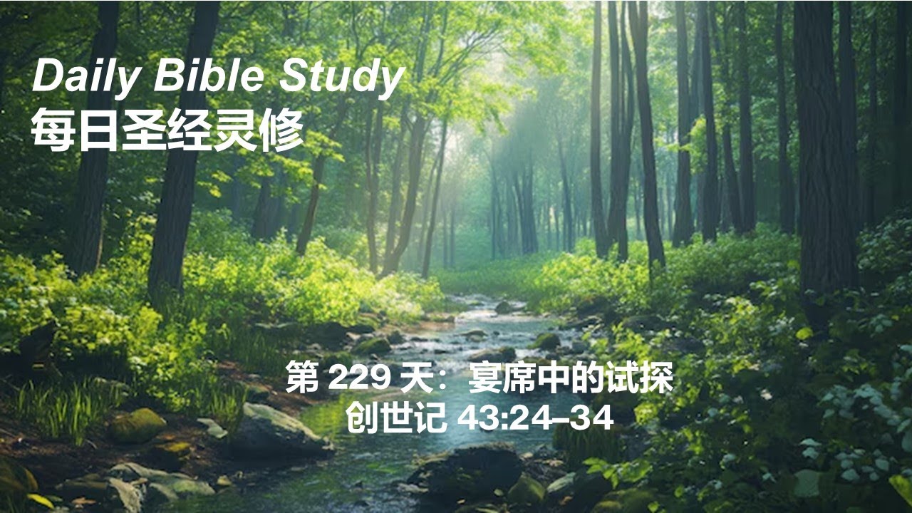 Daily Bible Study Day 229