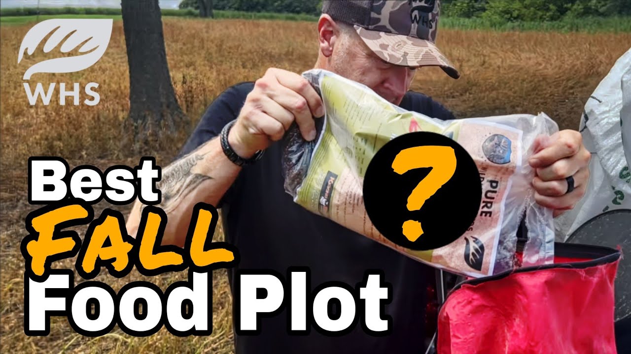 Best Fall Food Plot Planting
