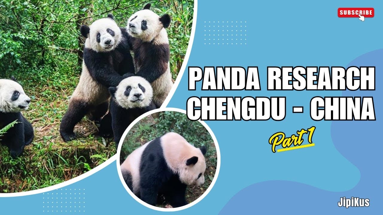 PANDA RESEARCH 