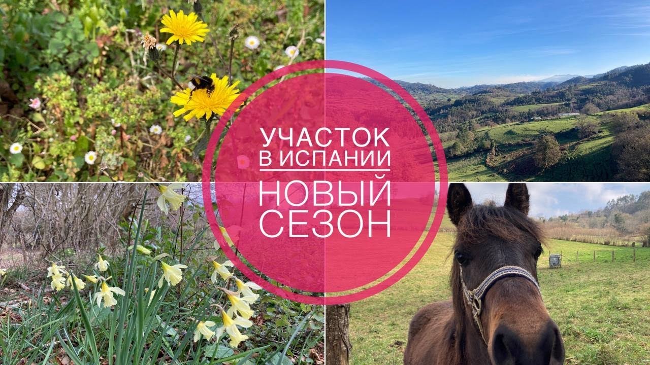 # 370 Земельный участок в Испании. Новый Сезон. Работы На Участке.  Земля В Испании