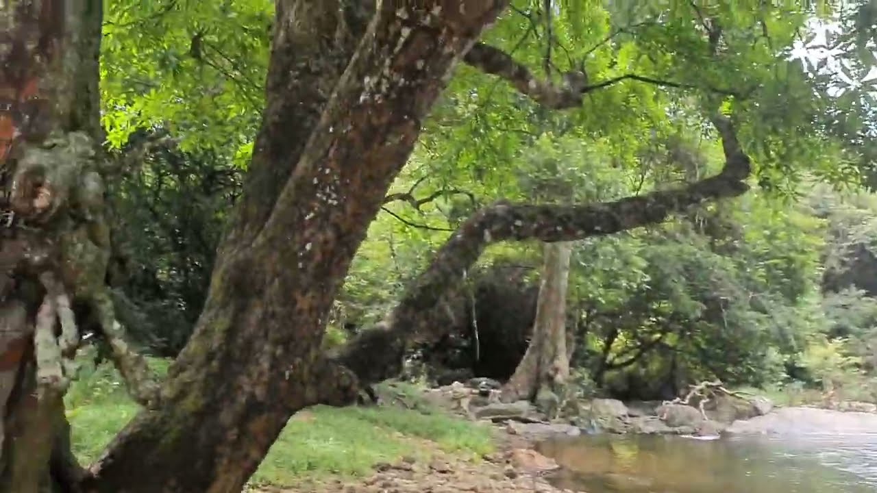 beautiful place in srilanka. Udadumbara - Kalugala