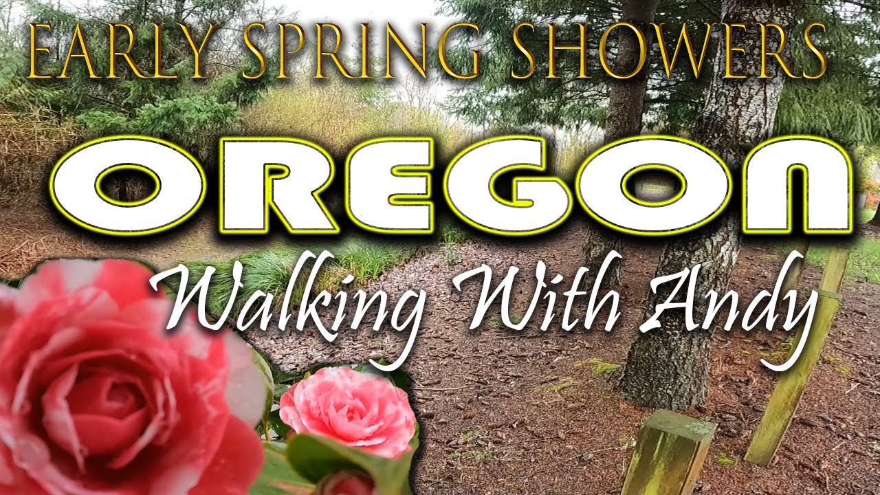 Atmospheric River Walks In Portland Oregon - Rain Rain Rain - Early Spring