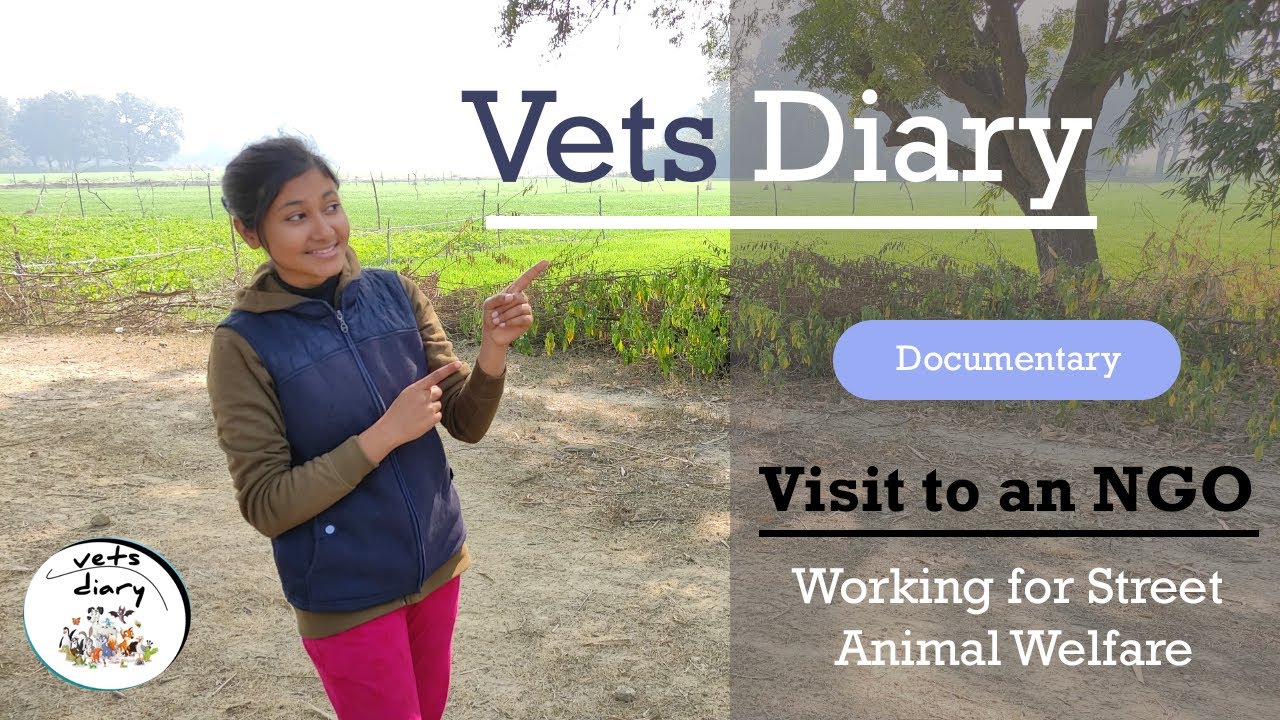 Vets Diary - Animal Rescue and Rehabilitation NGO Visit (a documentary)