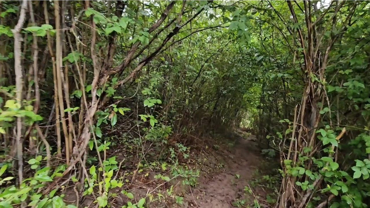 Não posso passar pela estrada da chácara 